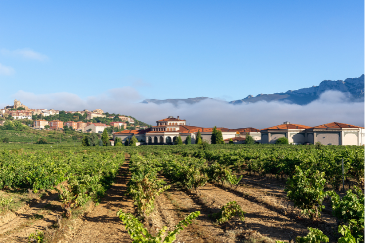 laguardia rioja spain