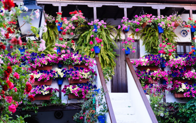 “Los Patios de Córdoba” Festival: A Springtime Delight